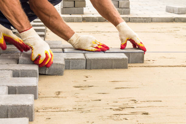 Best Interlocking Driveway Pavers  in Shady Hills, FL